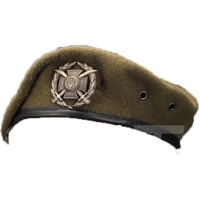 Берети відбиті та укомплектовані